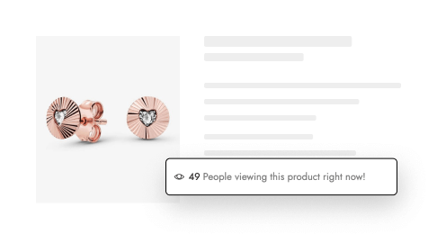 Guest Viewing Product